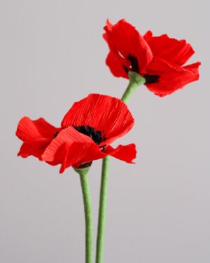 Deux coquelicots en papier sur un fond gris taupe