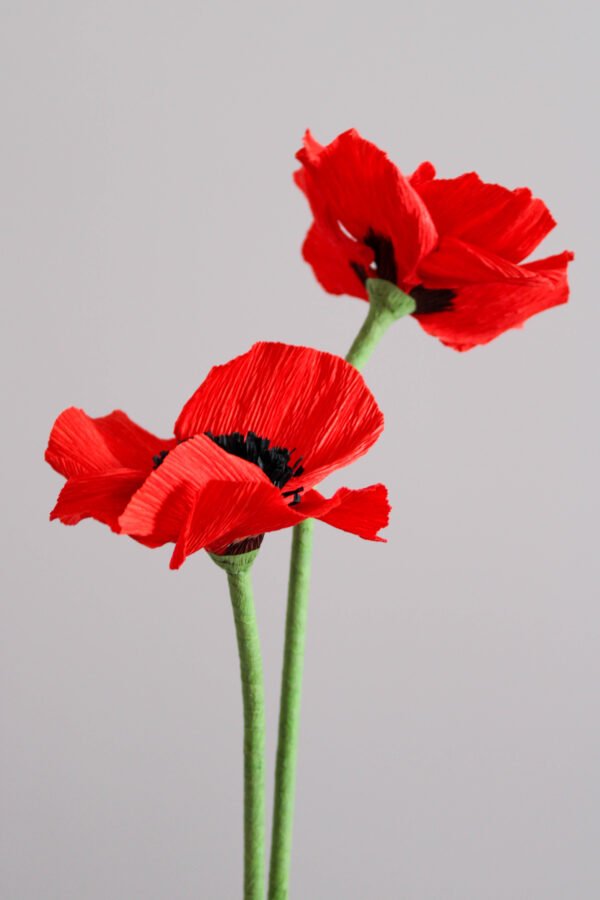 Deux coquelicots en papier sur un fond gris taupe