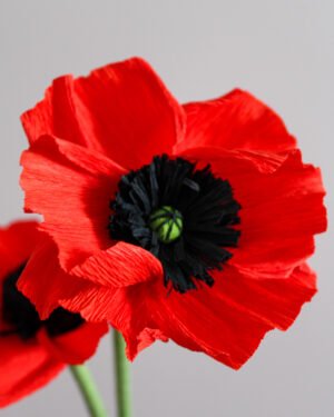 Zoom sur le cœur d’un coquelicot, avec un autre dans le fond. L’arrière plan est gris taupe.