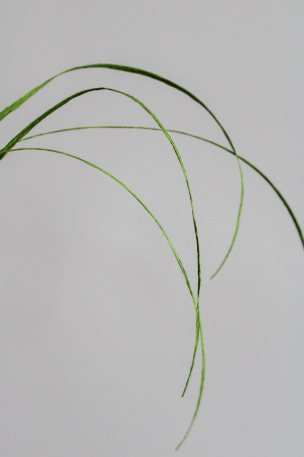 Feuille de flexigrass en papier sur un fond gris taupe.