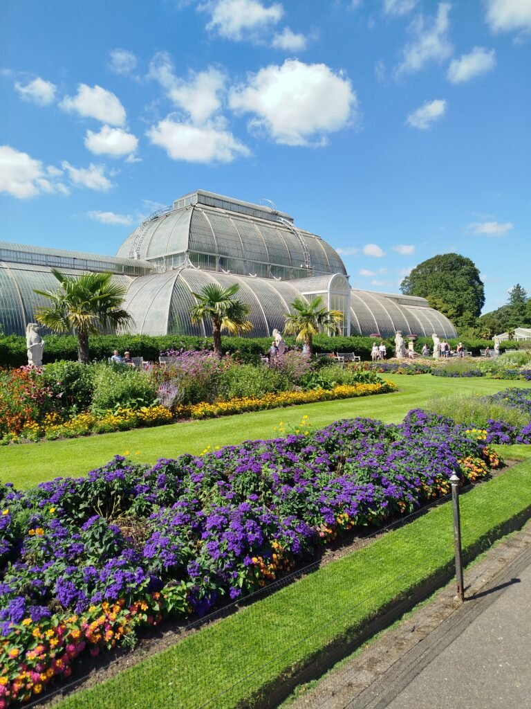 IMG 20240809 131438 768x1024