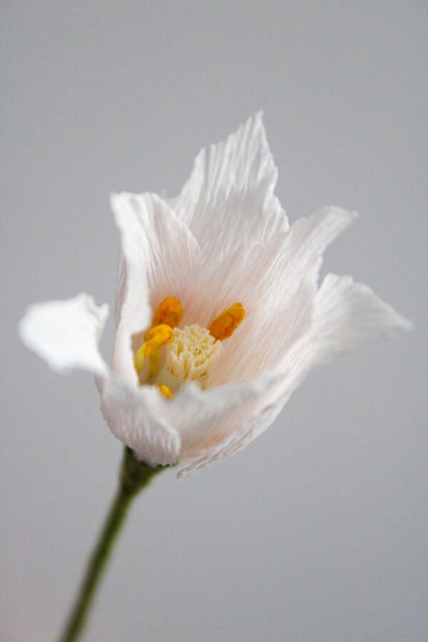 Tulipe Liberstar Zoom sur le cœur d’une tulipe liberstar en papier sur un fond gris taupe.