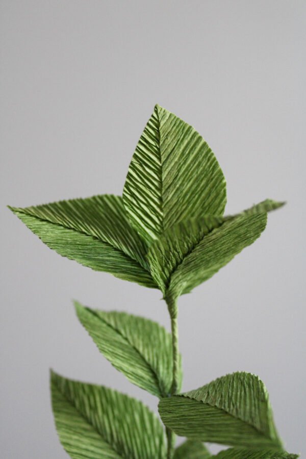 Zoom sur une branche de Ruscus en papier.