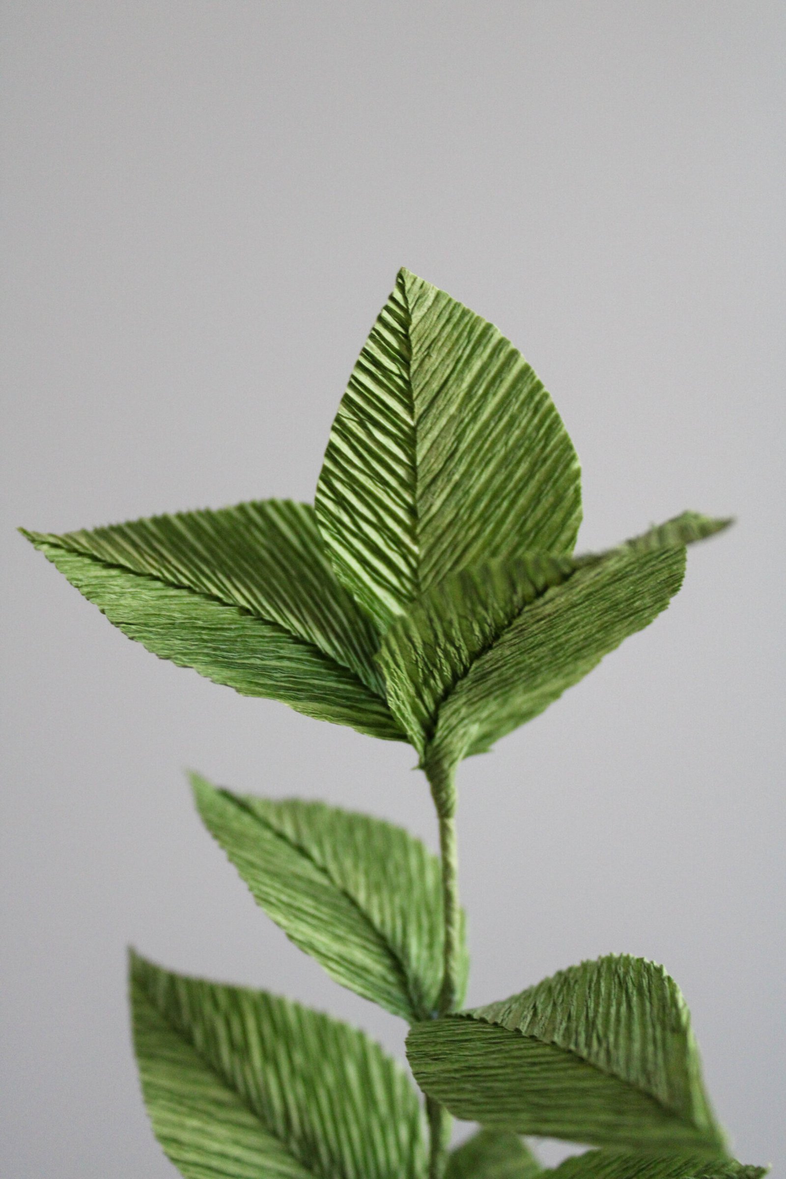 Zoom sur une branche de Ruscus en papier.