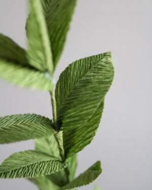 Zoom sur une branche de Ruscus en papier.