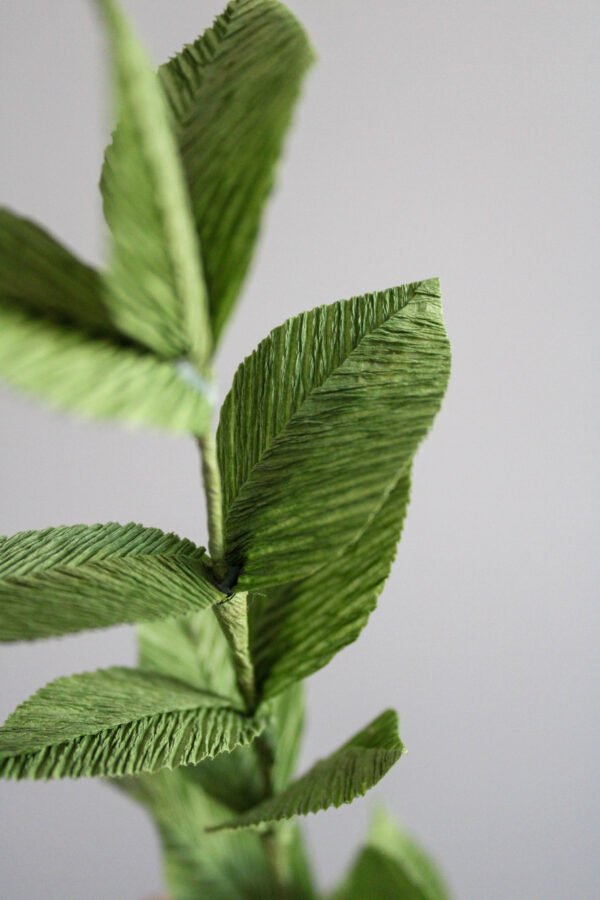 Zoom sur une branche de Ruscus en papier.