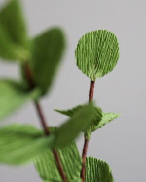 Zoom sur une branche d’Eucalyptus Cinerea en papier.