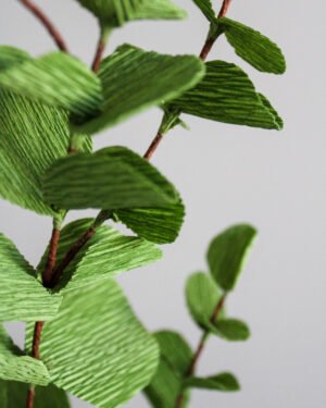 Zoom sur une branche d’Eucalyptus Cinerea en papier.