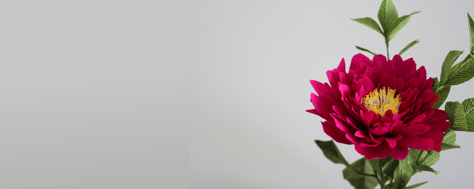 09112025 IMG 6623 Scaled