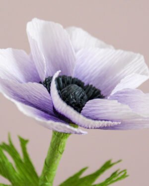 Zoom sur une Anémone couronnée en papier.