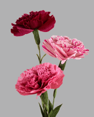 Trio d’œillets en papier dans les teintes roses.