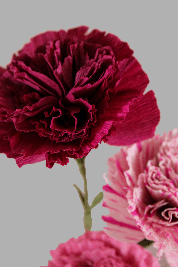 Zoom sur un œillet en papier