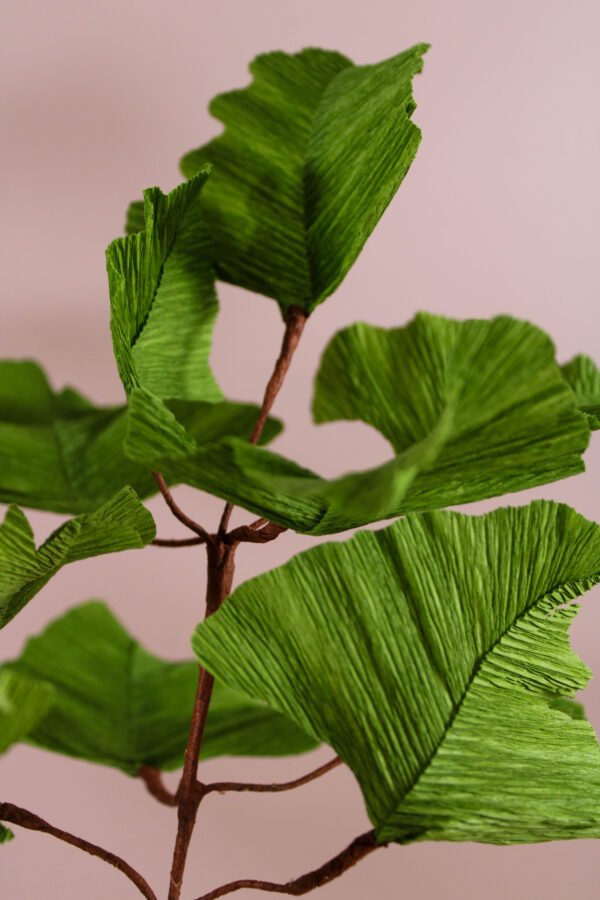 Ginkgo Biloba Zoom sur une branche de Ginkgo en papier.