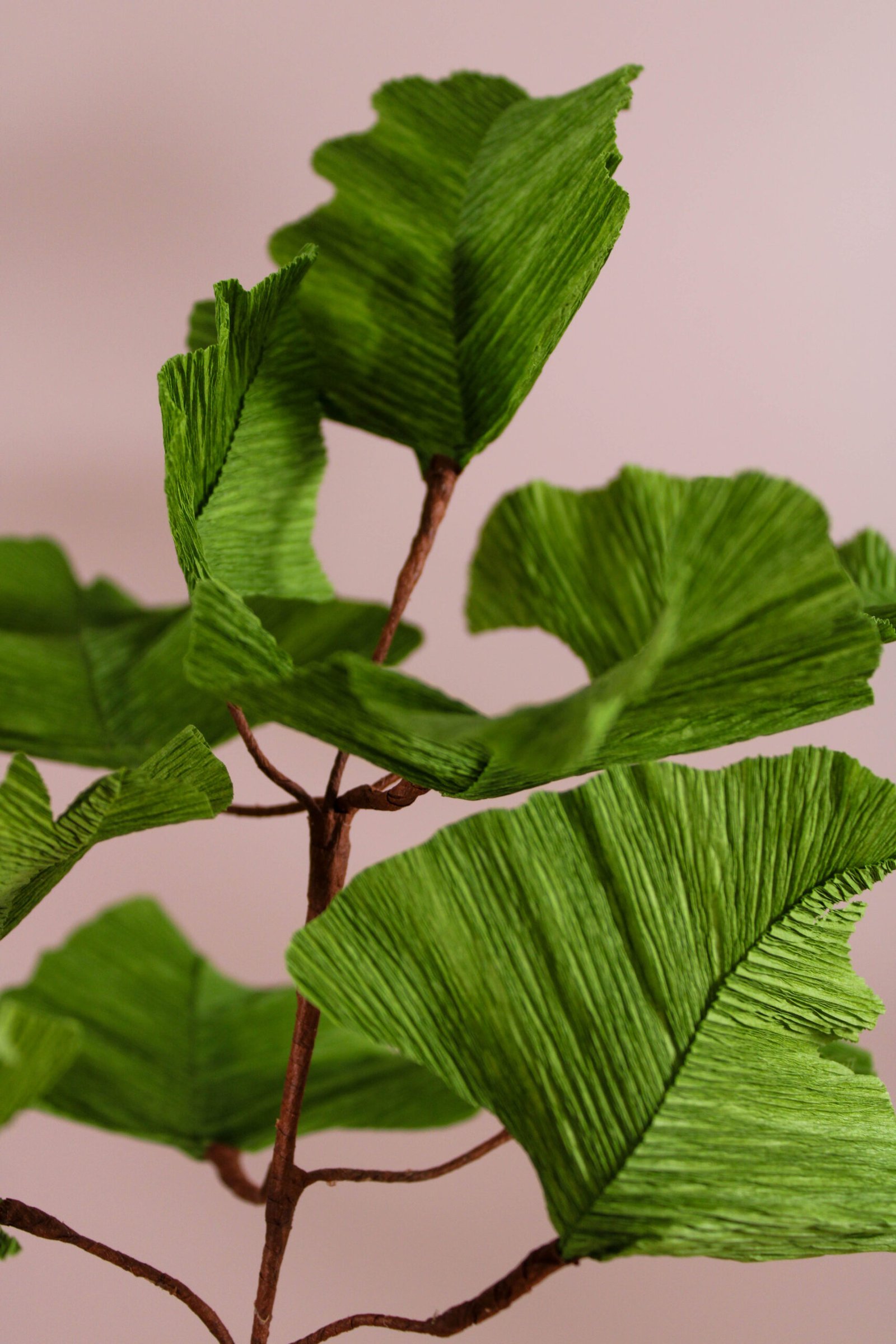 Zoom sur une branche de Ginkgo en papier.