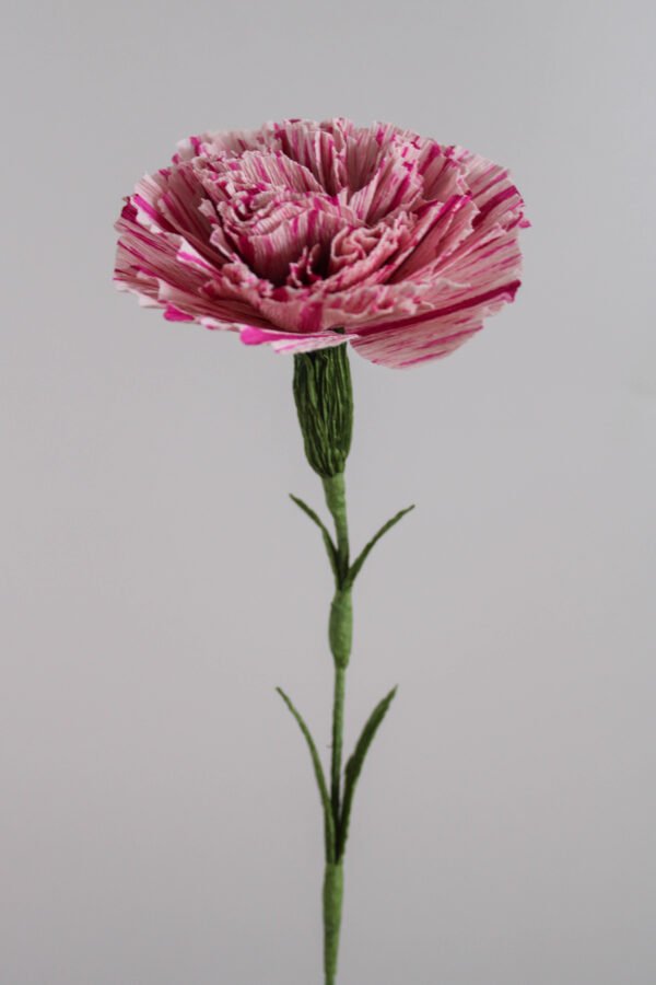 Œillet fantasy en papier sur un fond gris taupe