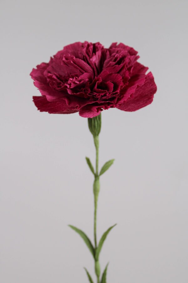 Œillet standard en papier sur un fond gris taupe