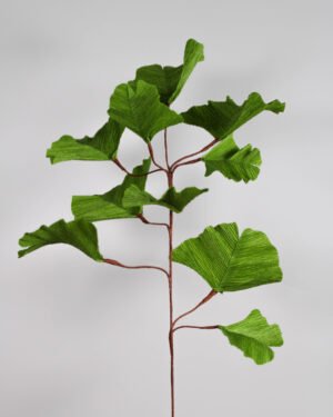 Ginkgo en papier
