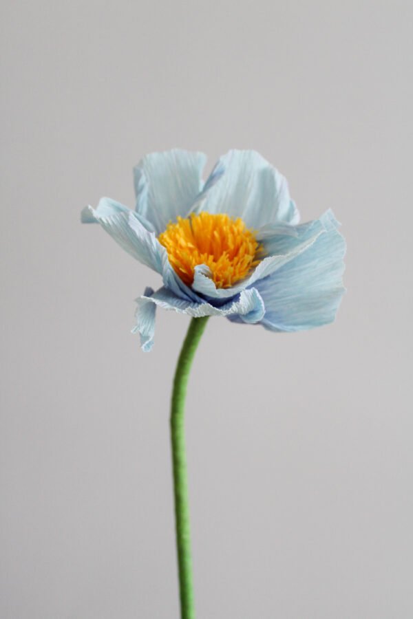 Pavot d’Himalaya en papier bleu sur un fond gris taupe.
