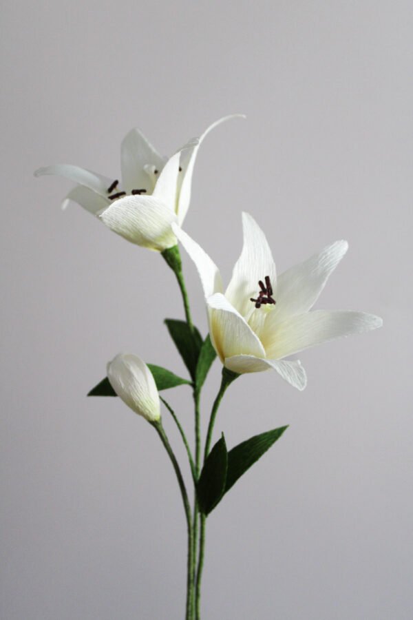 Composition de Lys Composition de lys en papier blanche. Constituée de deux lys et d’un bourgeon, sur un fond gris taupe