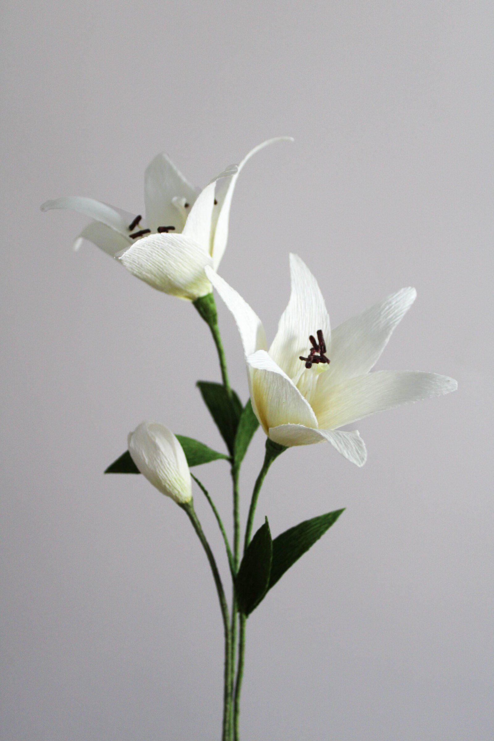 Composition de lys en papier blanche. Constituée de deux lys et d’un bourgeon, sur un fond gris taupe