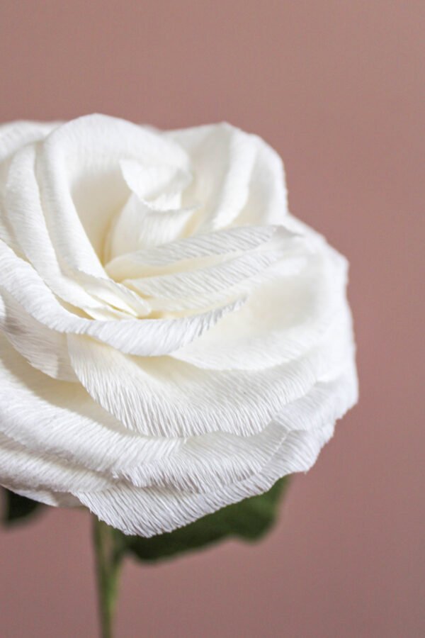 Zoom sur les pétales d’une rose blanche en papier