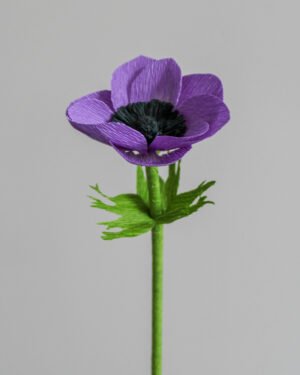 Fleurs et Feuillages en Papier Anémone couronnée en papier, de couleur violette, sur un fond gris taupe.
