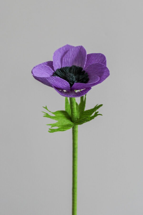 Anémone couronnée en papier, de couleur violette, sur un fond gris taupe.