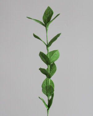 Branche de Ruscus en papier.