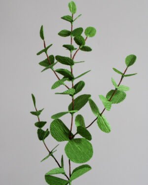 Branche d’Eucalyptus Cinerea en papier