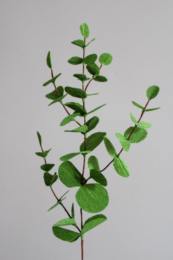 Eucalyptus Cinerea Branche d’Eucalyptus Cinerea en papier