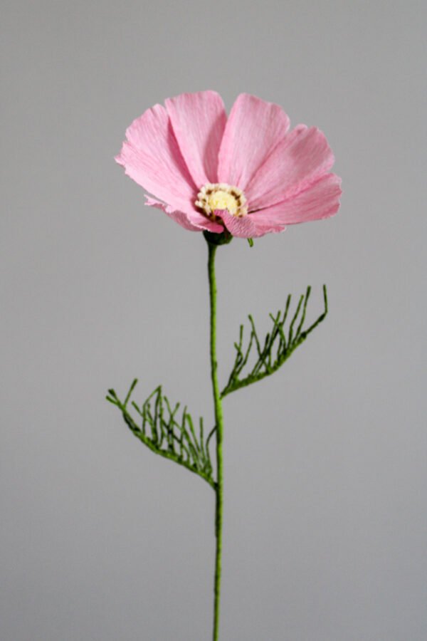 Cosmos en papier rose sur un fond gris taupe.