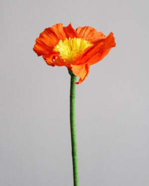 Fleurs et Feuillages en Papier Pavot en papier orange sur un fond gris taupe.