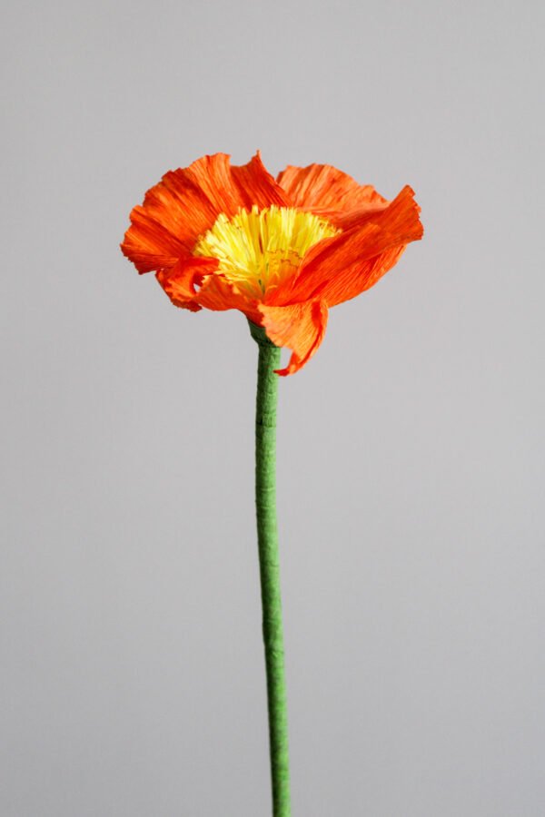 Pavot en papier orange sur un fond gris taupe.