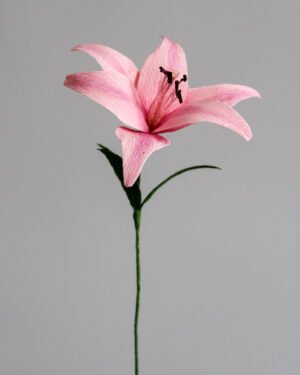 Lys rose en papier sur un fond gris taupe