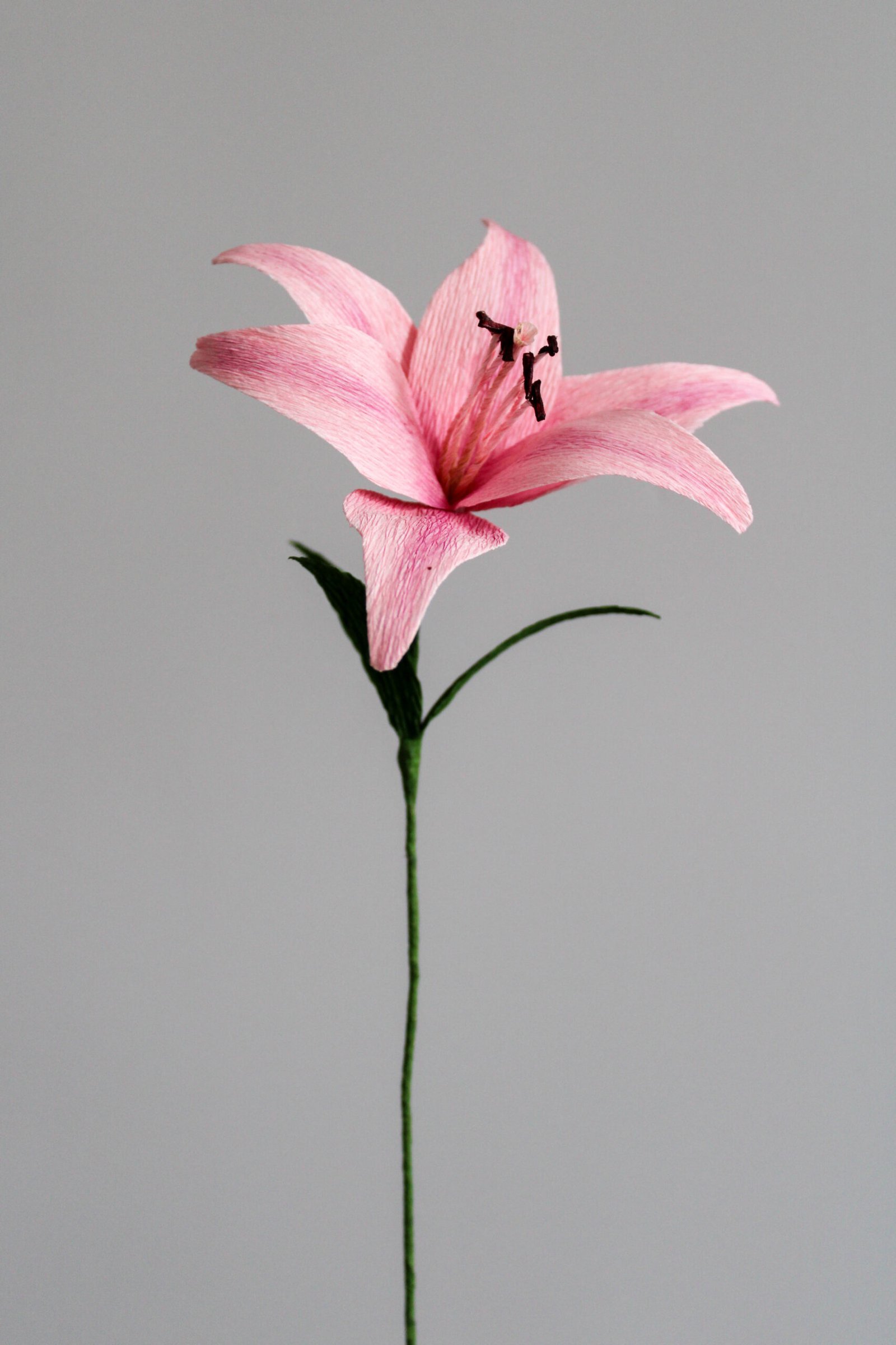 Lys rose en papier sur un fond gris taupe