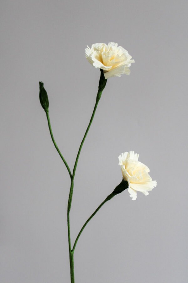 Œillet spray en papier sur un fond gris taupe