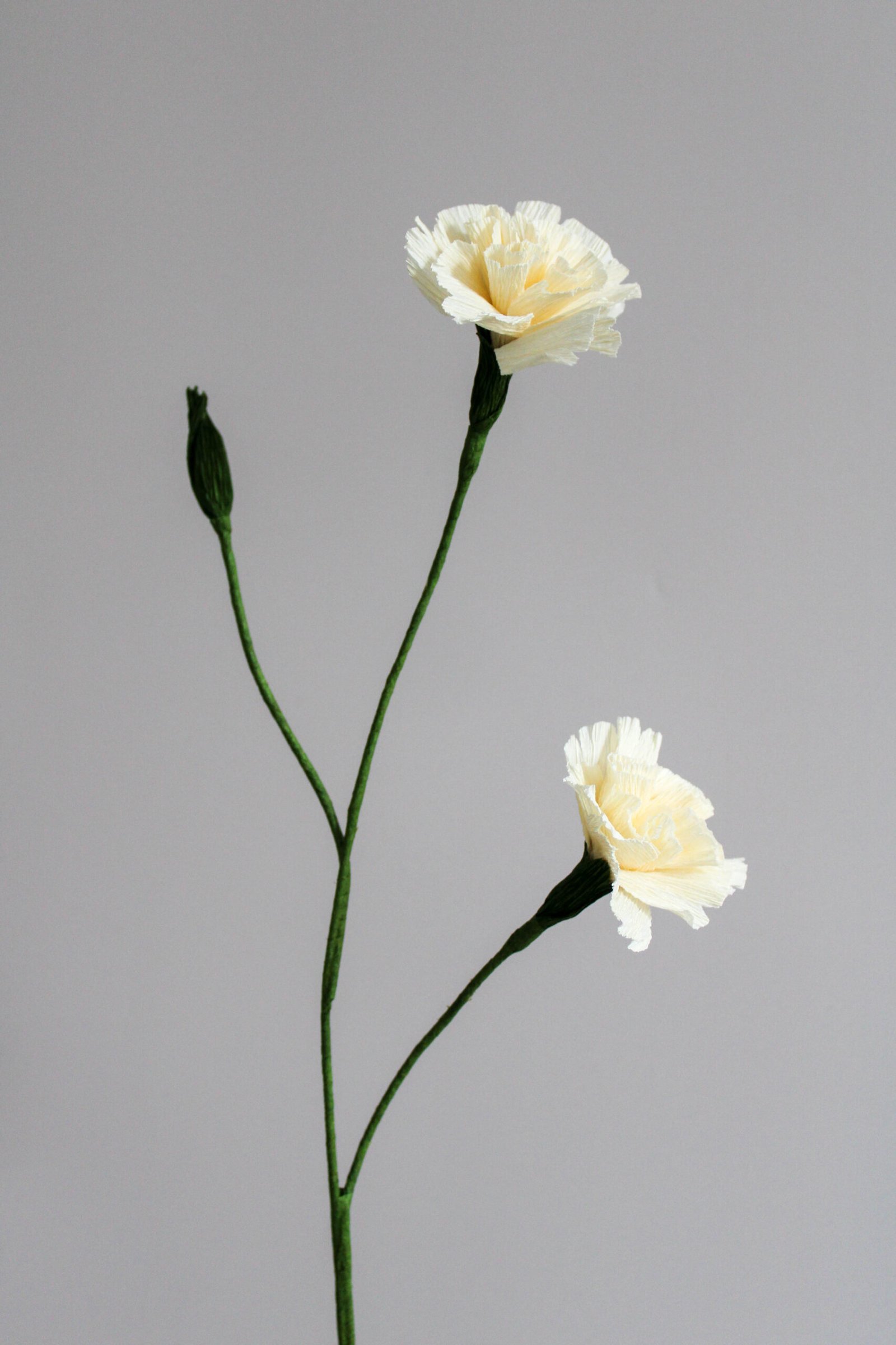 Œillet spray en papier sur un fond gris taupe