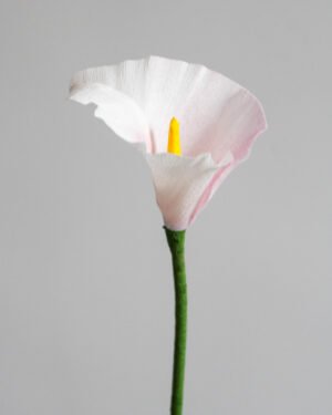 Fleurs et Feuillages en Papier Arum en papier rose pâle sur un fond gris taupe