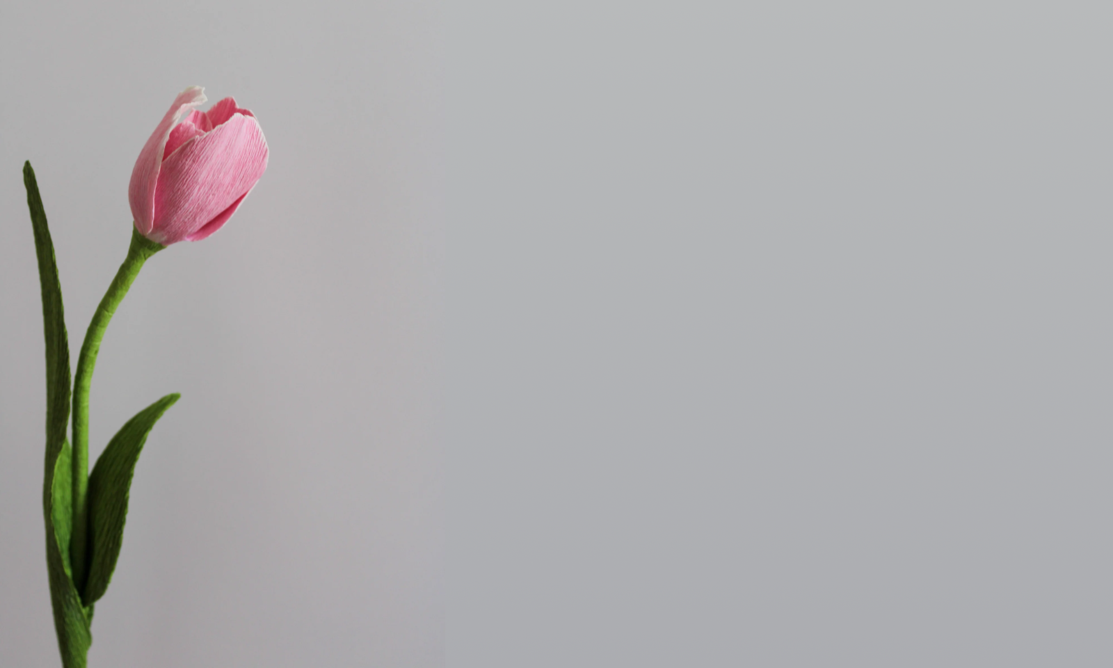 Boutique Sans Titre 2