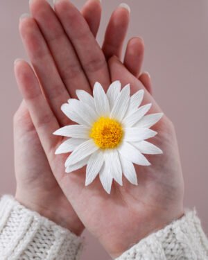 Marguerite en papier tenue aux creux de deux mains.