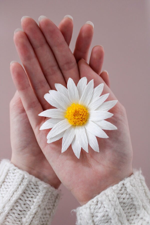 Marguerite en papier tenue aux creux de deux mains.