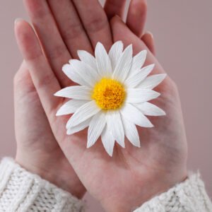 20012026 IMG 6784 Edited 300x300