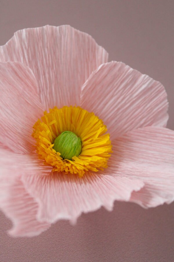 Zoom sur une anémone du Japon en papier