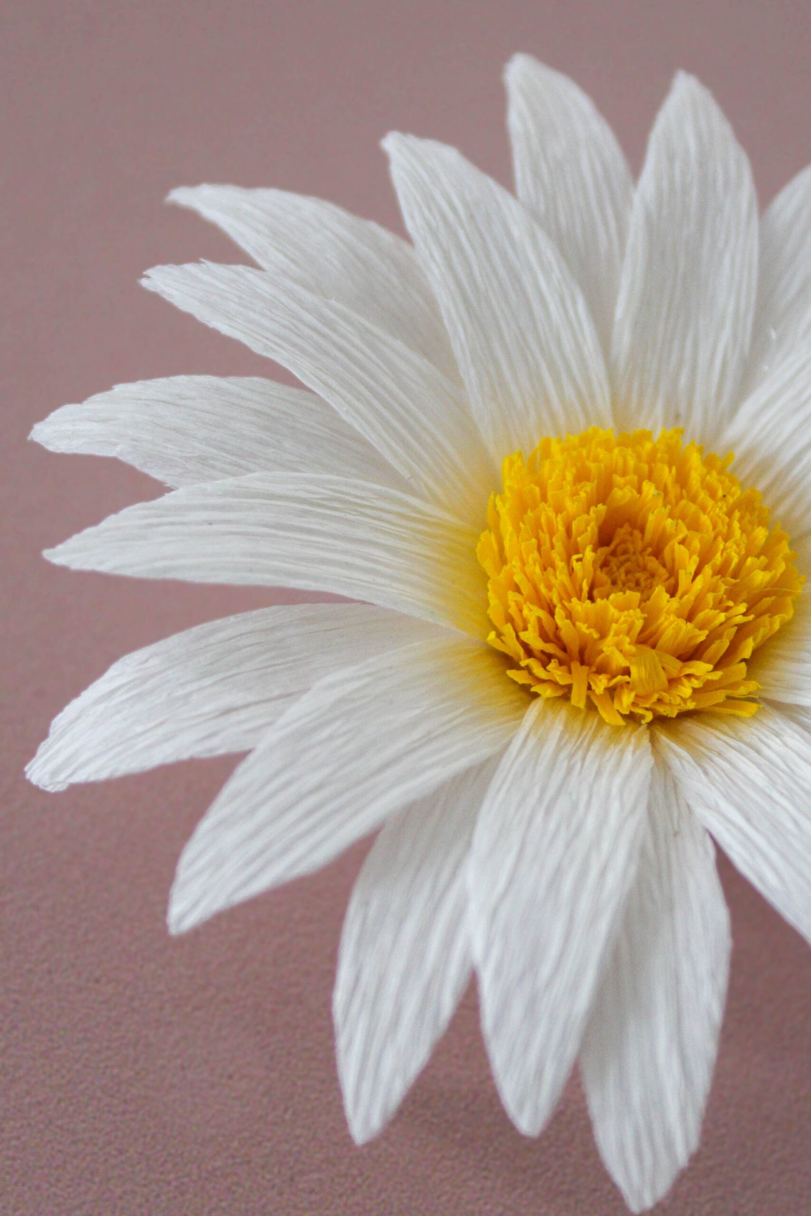 Zoom sur les pétales et centre d’une Marguerite en papier.