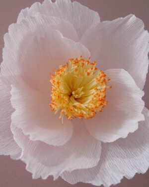 Zoom sur le centre d’un Camélia en papier.