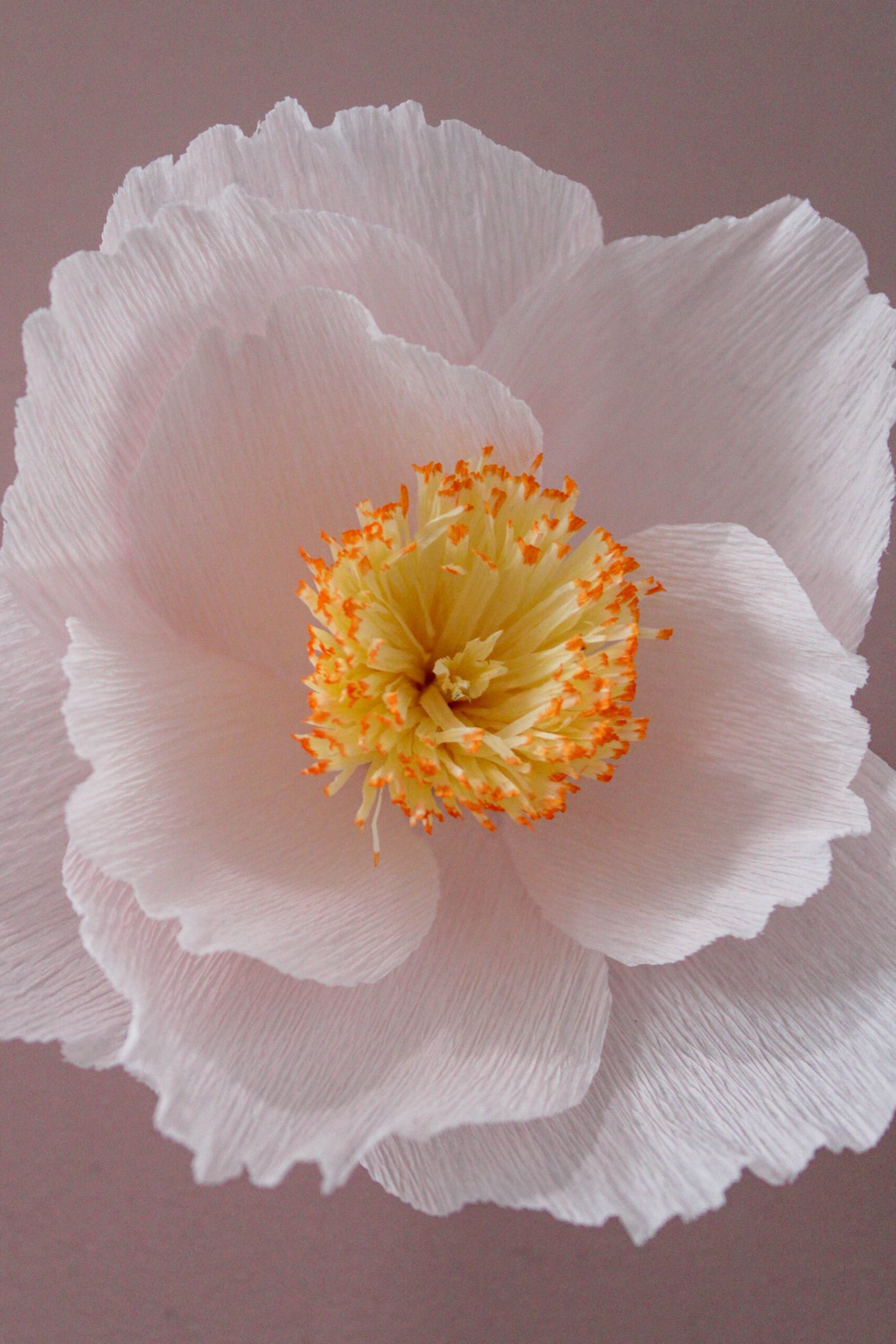 Zoom sur le centre d’un Camélia en papier.