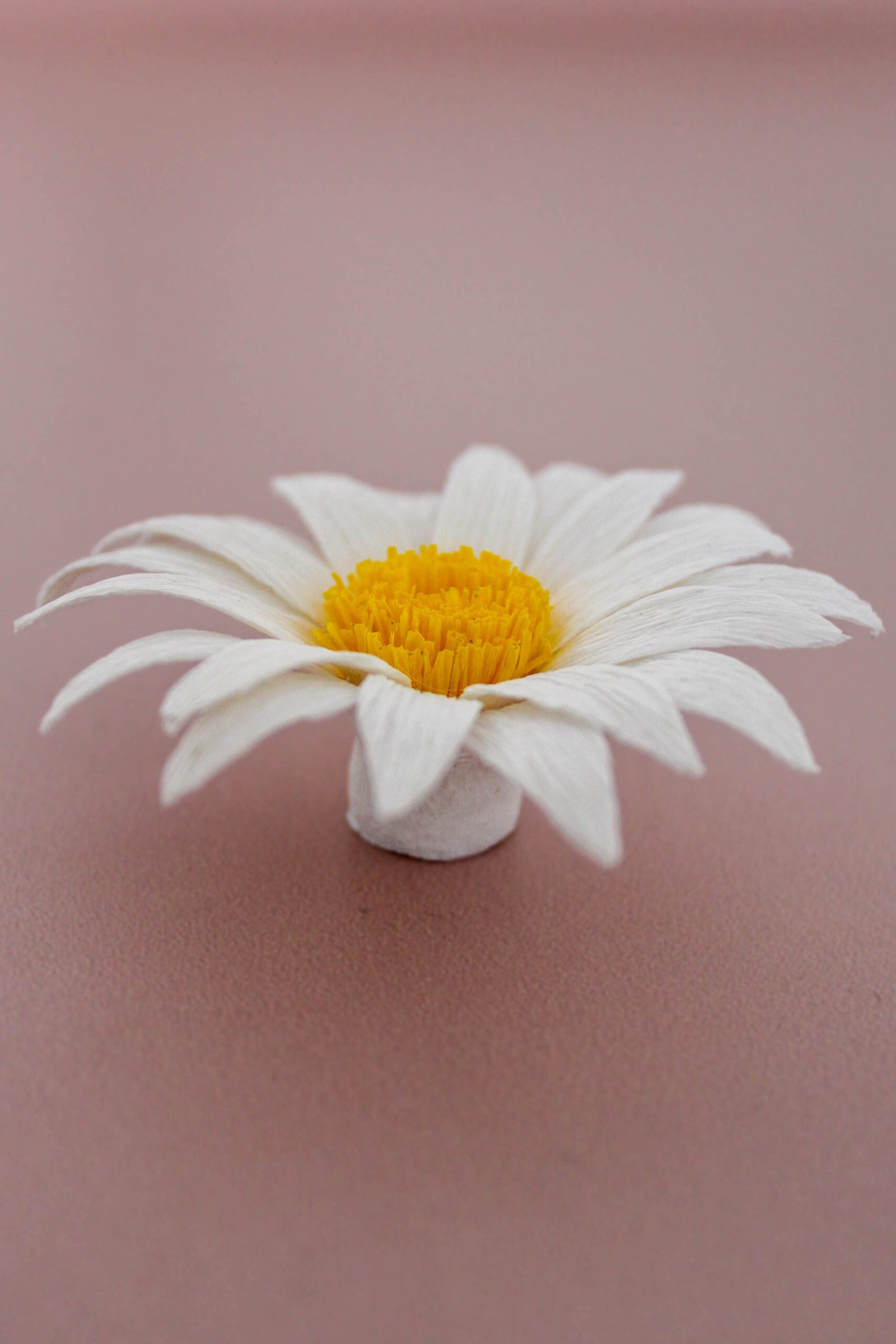 Marguerite en papier sous forme d’aimant.