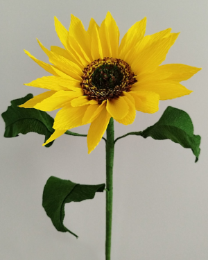Tournesol en papier