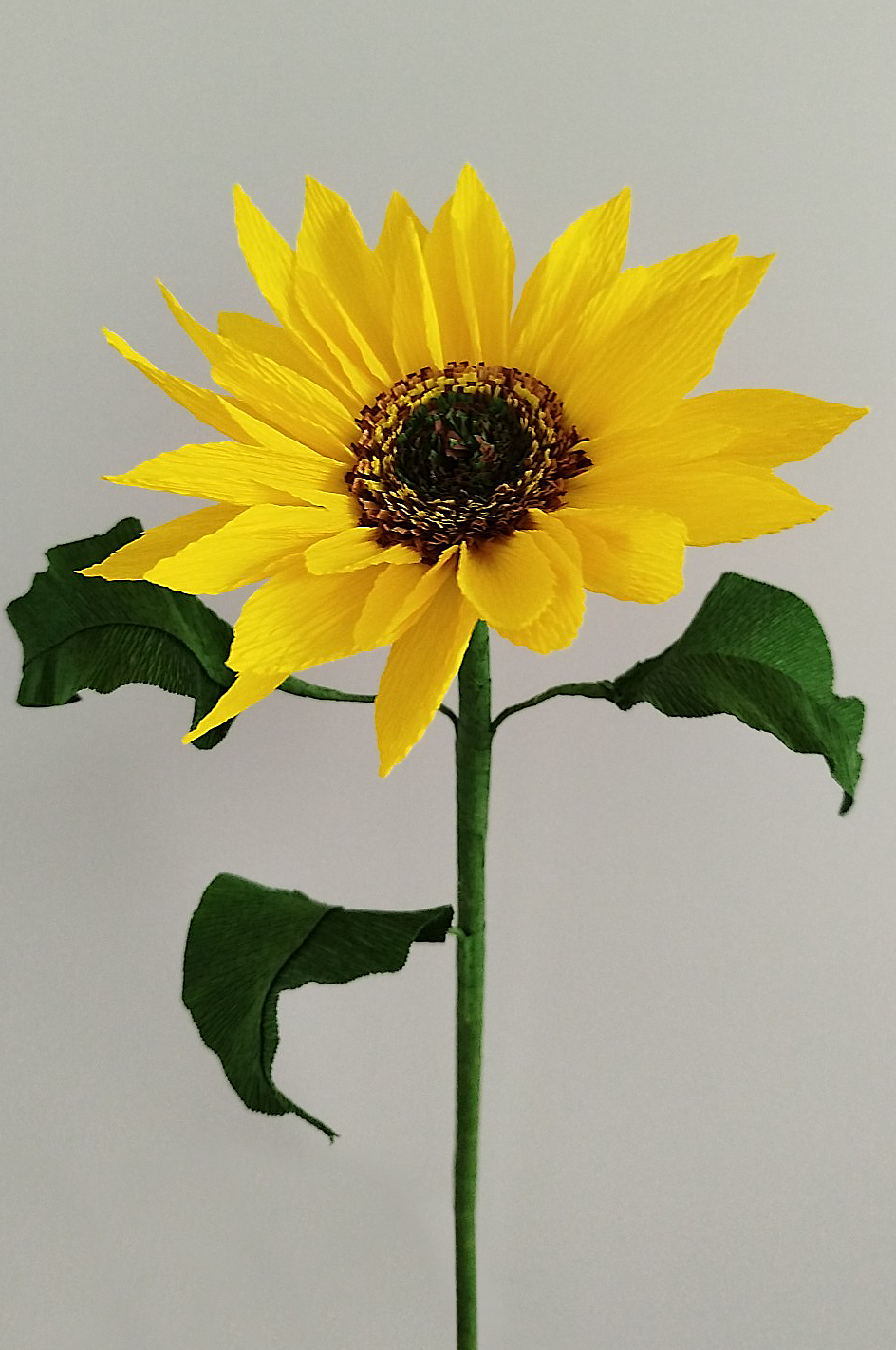 Tournesol en papier