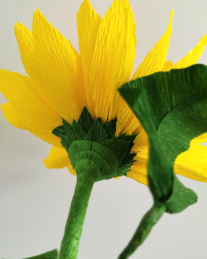 Zoom sur le sépales d’un tournesol en papier
